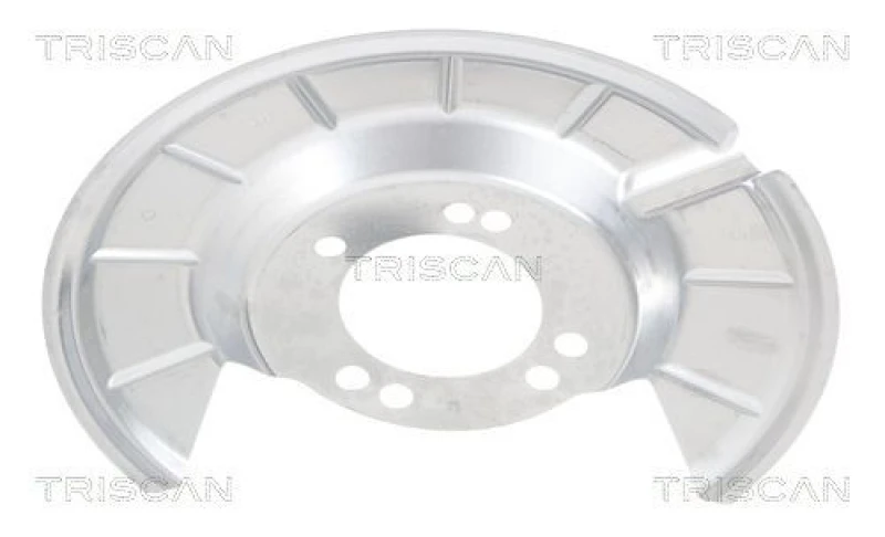 Image of TRISCAN Brake disc backing plate TRISCAN 8125 16222