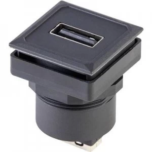 Image of Socket vertical vertical OKJUSBAA Schlegel Content