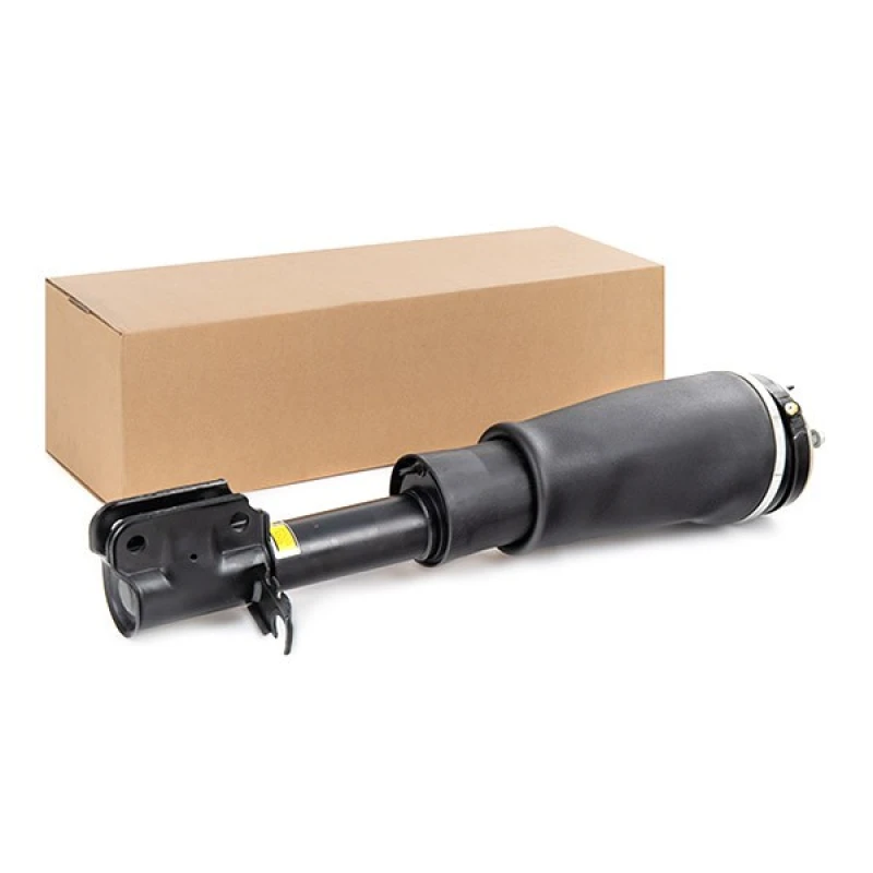 Image of RIDEX Air suspension strut RIDEX 4118A0071