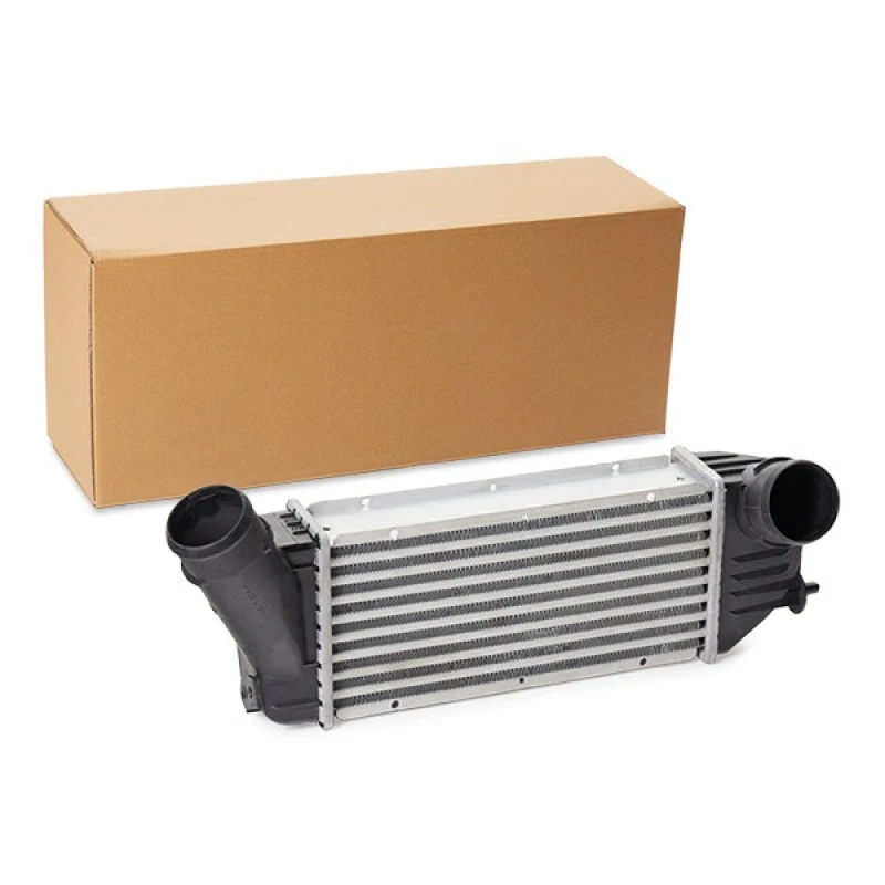 Image of RIDEX Intercooler RIDEX 468I0325