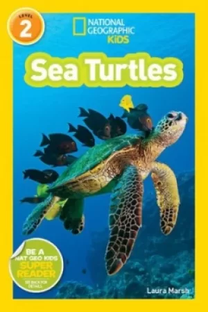 Image of Sea turtles by Laura Marsh