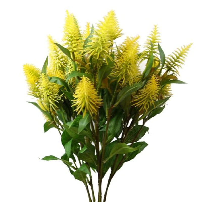 Image of Leaf Pack of 6 x 55cm Callistemon Pallidus Yellow Bottle Brush Stem