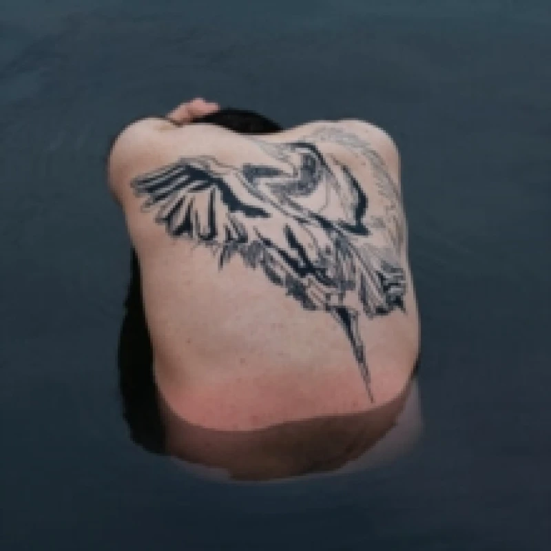 Image of Blue Heron CD / Album