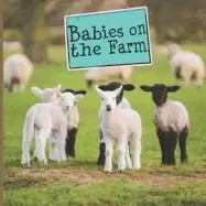 Image of babies on the farm