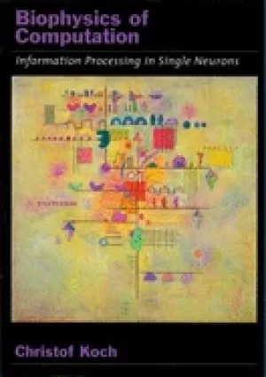 Image of biophysics of computation information processing in single neurons