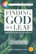 Image of finding god in a leaf the mysticism of laudato si