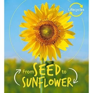 Image of Lifecycles: Seed to Sunflower Paperback / softback 2019
