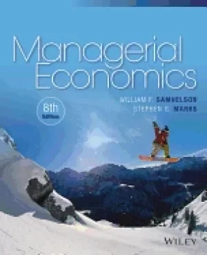 Image of managerial economics