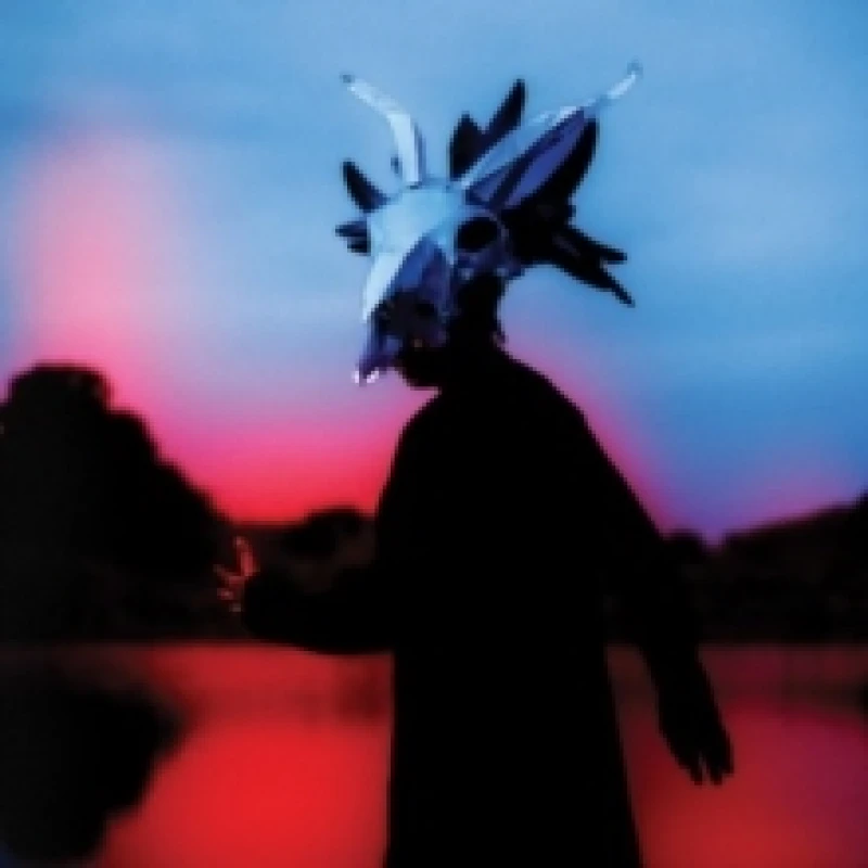 Image of SKYLLUMINA Vinyl