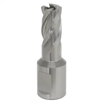Image of Rotabor Cutter HSS 13MM - Cut Depth 25MM
