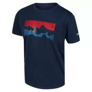 Image of Regatta Alvarado VI T-Shirt - Blue
