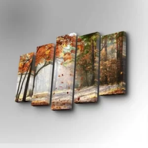 Image of 5PUC-020 Multicolor Decorative Canvas Painting (5 Pieces)
