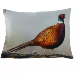 Image of Evans Lichfield Pheasant Cushion Cover (One Size) (Multicoloured) - Multicoloured