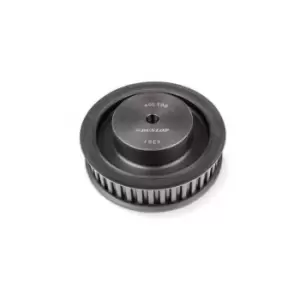 Image of Dunlop BTL 19-L-100F Imperial Pilot Bore Timing Pulley, 19 Teeth, 3/8" Pitch, fo