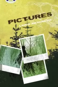 Image of Pictures by Linda Aksomitis