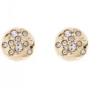 image of Ladies Karen Millen Crystal Sprinkle Stud Earrings