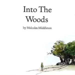 Image of Into the Woods by Malcolm Middleton CD Album