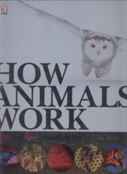 Image of How Animals Work by David Burnie Hardback