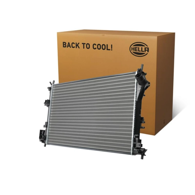 Image of HELLA Engine radiator HELLA 8MK 366 301-191