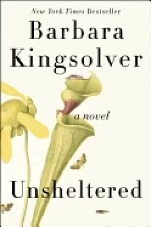 Image of unsheltered a novel