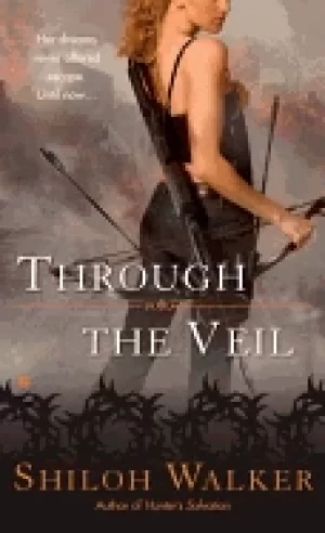 Image of through the veil