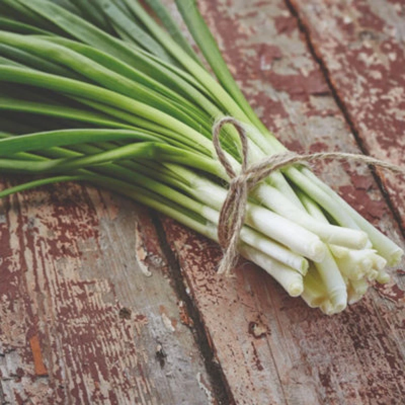 Image of Thompson & Morgan Spring Onion White Lisbon - Quick-Growing Hardy Annual Vegetable Seeds For UK Gardens - 200 Seeds