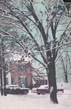 Image of Last Train to Memphis Paperback