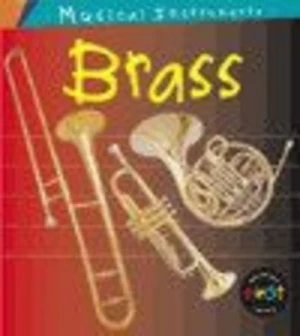 Image of Brass by Wendy Lynch Hardback
