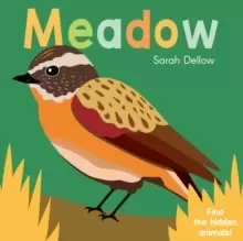Image of Now you See It! Meadow
