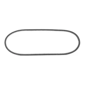 Image of RIDEX V Belt 10C0019 Fenner Belt VW,AUDI,BMW,GOLF I Cabriolet (155),GOLF I (17),SCIROCCO (53B),Passat Variant (33B),PASSAT (32B),SCIROCCO (53)