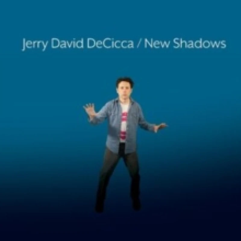 Image of New shadows Vinyl