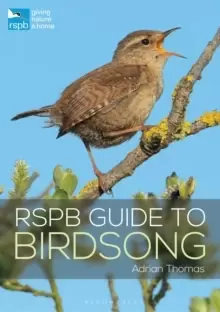 Image of RSPB Guide to Birdsong