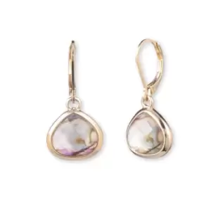 Image of Ladies BASIC AK COLOR Earrings