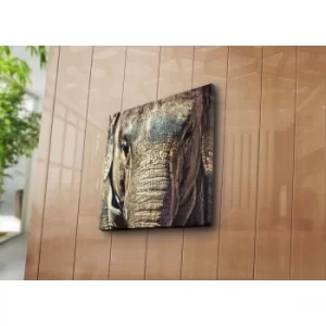Image of 4545NAT-3 Multicolor Decorative Canvas Painting
