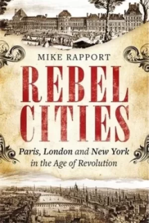 Image of Rebel cities by Michael Rapport