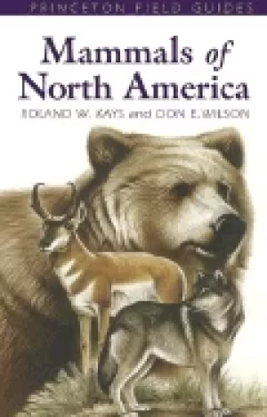 Image of mammals of north america