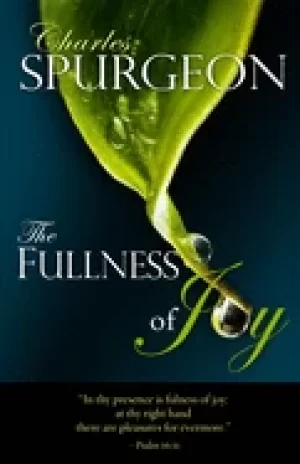 Image of fullness of joy