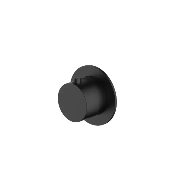 Image of RAK Petit Round Concealed Diverter Single - Matt Black