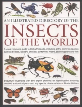 Image of An Illustrated Directory of the Insects of the World by Martin Walters Paperback