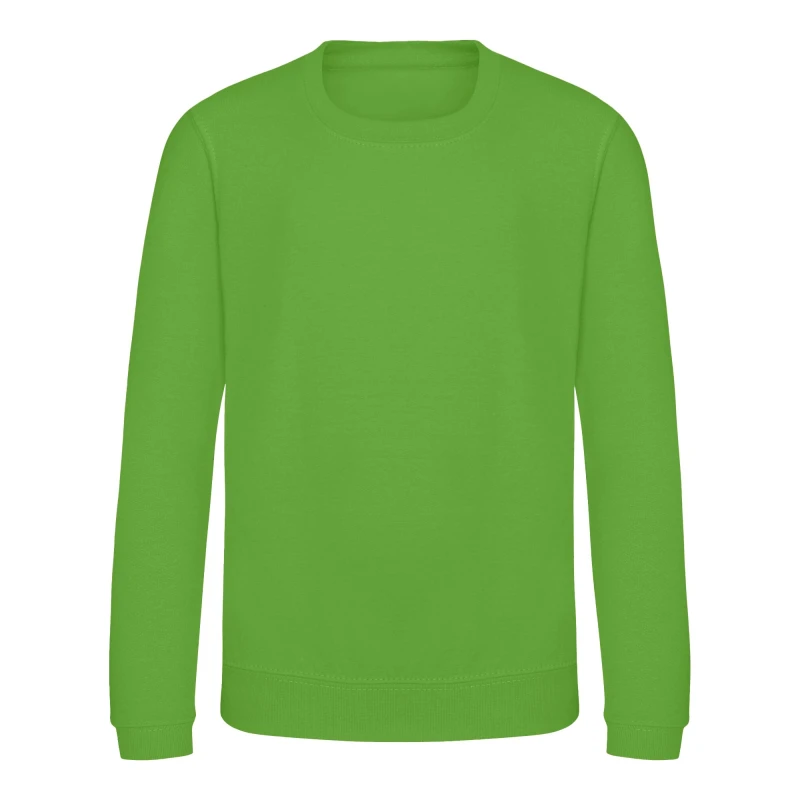 Image of AWDis Just Hoods Sweatshirt in Pale Green Size: 12-13 Years Pale Green Unisex 12-13 Years