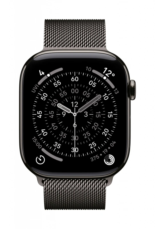 Image of Apple MGJ64ZM/A Smart Wearable Accessories Band Slate colour Stainless steel MGJ64ZM/A