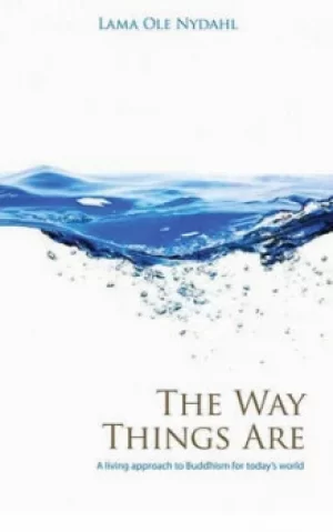 Image of The way things are by Lama Ole Nydahl