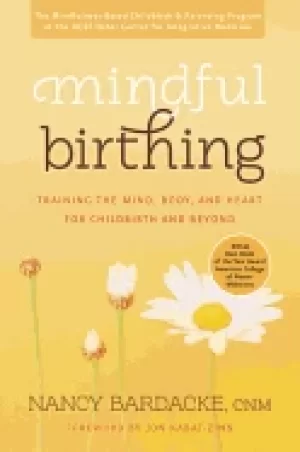 Image of mindful birthing training the mind body and heart for childbirth and beyond