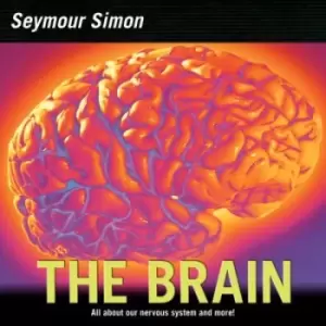 Image of The brain - Seymour Simon - Paperback - Used