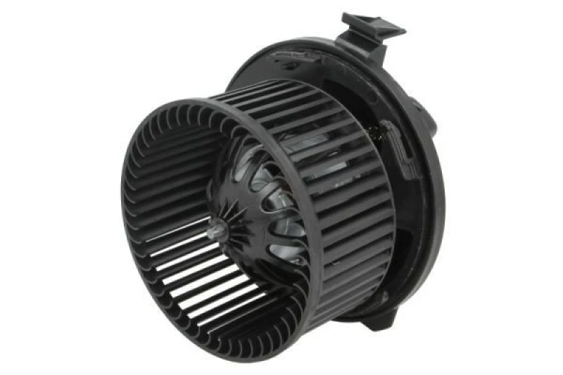 Image of THERMOTEC Blower motor THERMOTEC DDC012TT