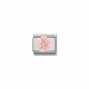Image of Nomination Composable Classic STONE SYMBOLS In Stainless Jewellery