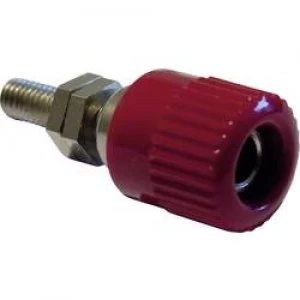 Image of Pole terminal Black 6 A Schnepp