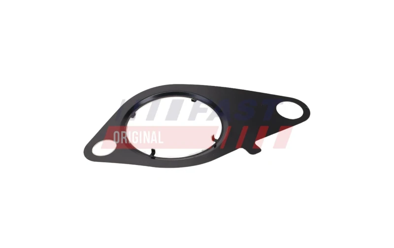 Image of FAST EGR valve gasket FAST FT13434