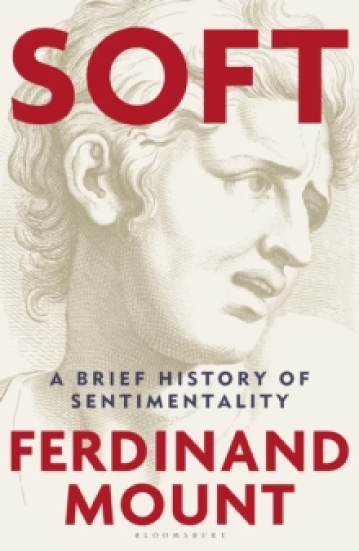 Image of Soft : A Brief History of Sentimentality Hardback