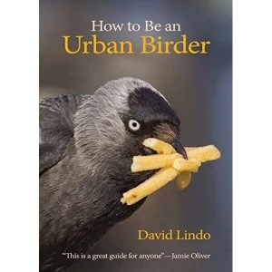 Image of How to Be an Urban Birder Paperback / softback 2018